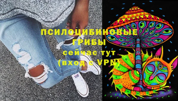 молекула духа Баксан