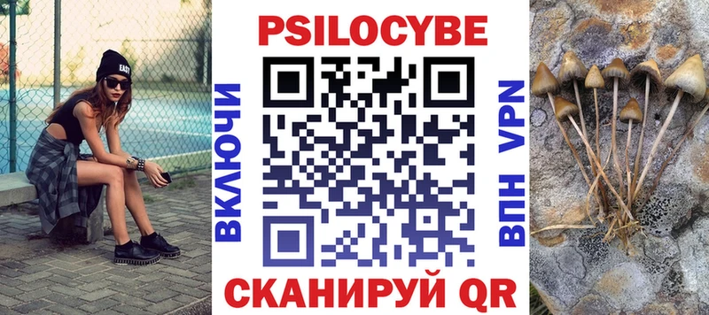 продажа наркотиков Дальнегорск ссылка на мегу как войти Галлюциногенные грибы мицелий