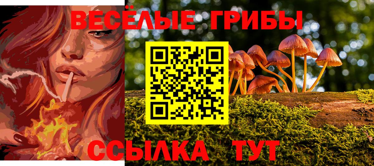  КОКАИН Дальнегорск